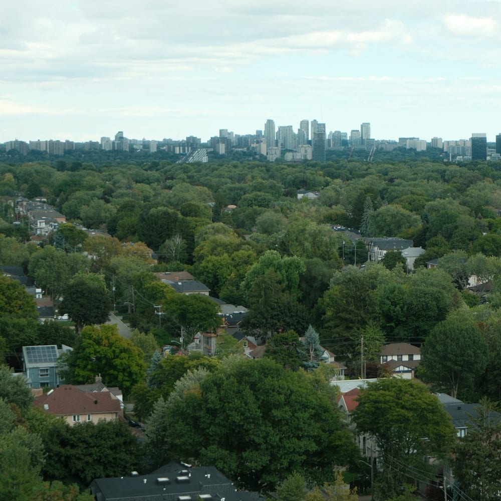 Toronto rooftops with the downtown skyline beyond